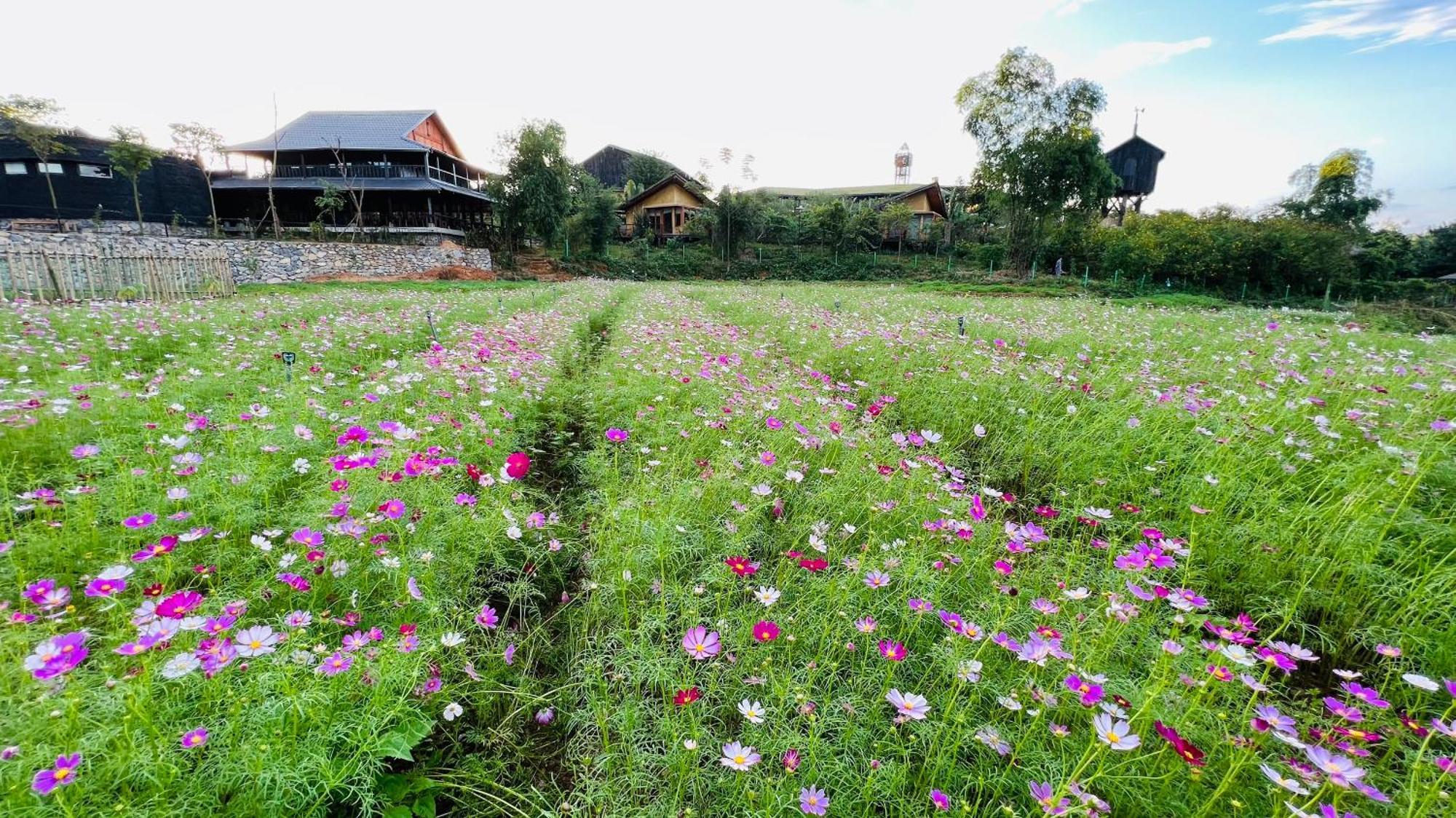 Satoyama Village Luong Son  Екстериор снимка
